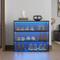 Meuble à chaussures avec porte en verre noir et éclairage LED RVB